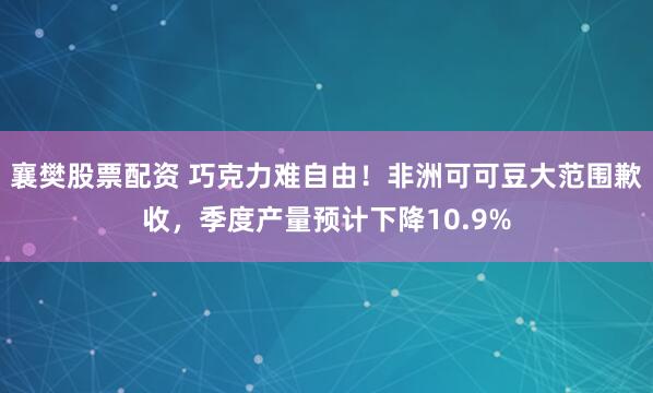 襄樊股票配资 巧克力难自由！非洲可可豆大范围歉收，季度产量预计下降10.9%