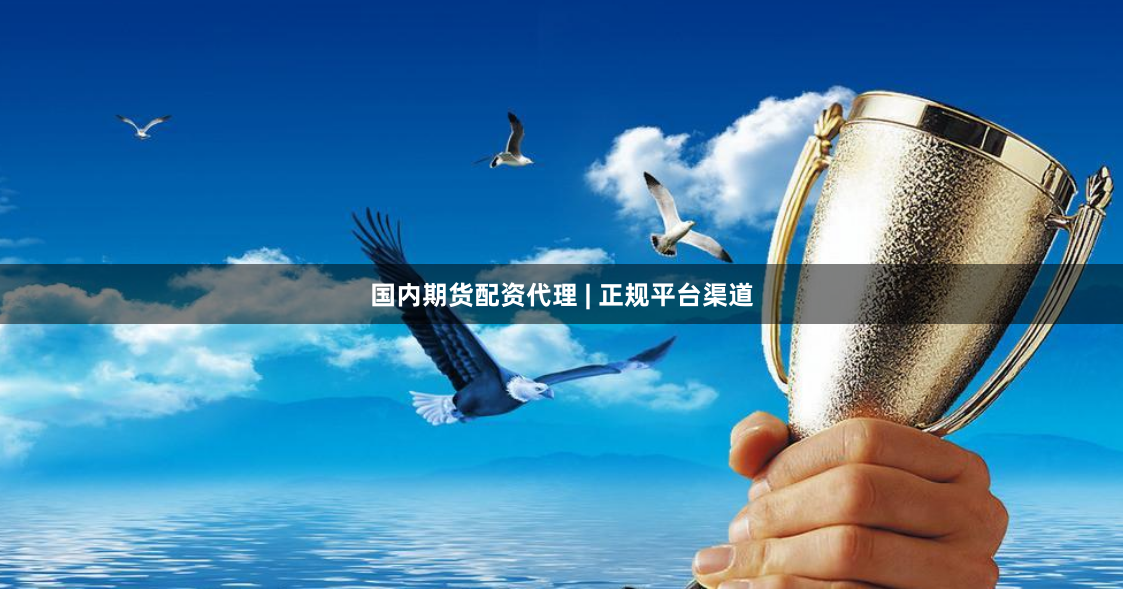 国内期货配资代理 | 正规平台渠道