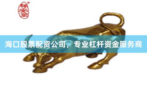 海口股票配资公司，专业杠杆资金服务商